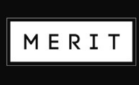 merit_data_technology_logo